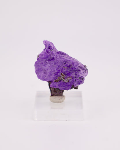 Fibrous Sugilite