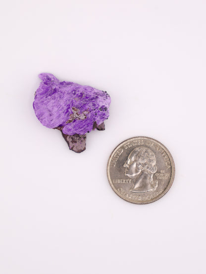 Fibrous Sugilite