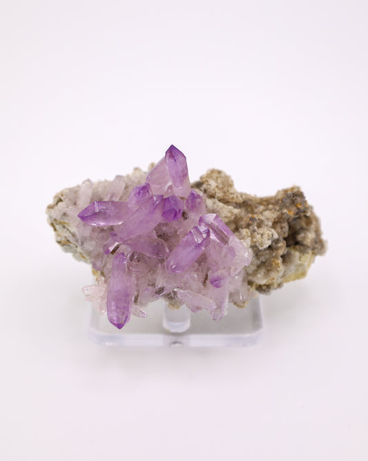 Vera Cruz Amethyst