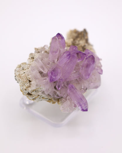 Vera Cruz Amethyst