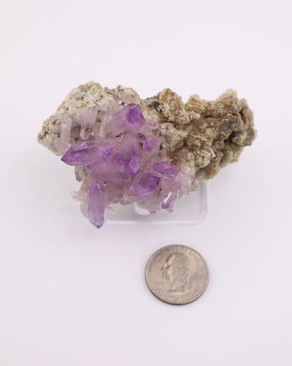 Vera Cruz Amethyst