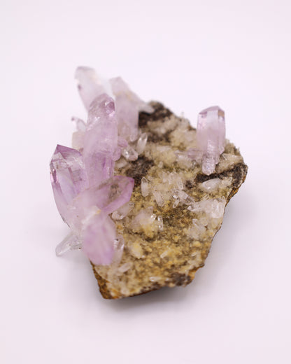 Vera Cruz Amethyst