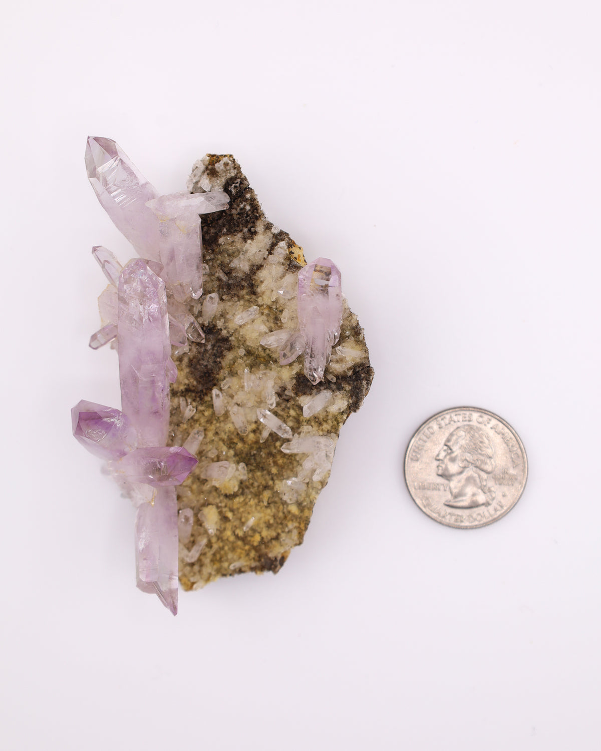 Vera Cruz Amethyst