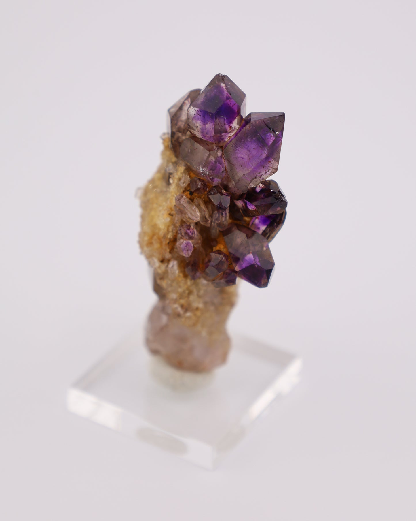 Zambian Amethyst Scepter